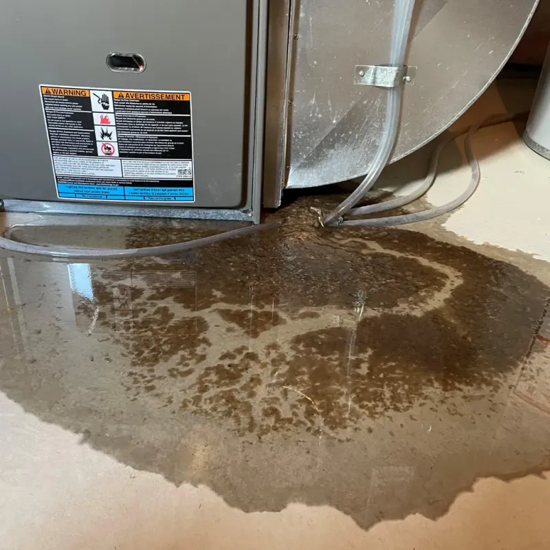 Appliance Leak Cleanup in Spotsylvania Courthouse, VA